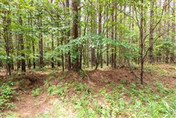 property photo for Whiskey Ridge Tract 16, 6.59 acres for sale in Henderson County, Tennessee