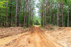 Whiskey Ridge Tract 17