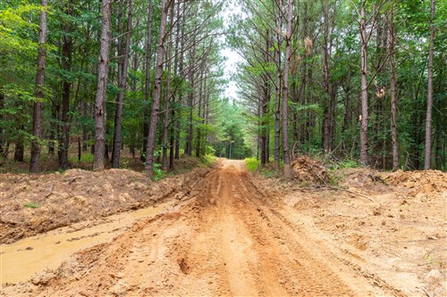 Whiskey Ridge Tract 17