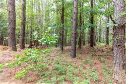 Whiskey Ridge Tract 17