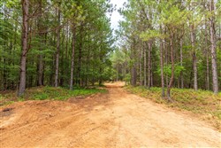 Whiskey Ridge Tract 17