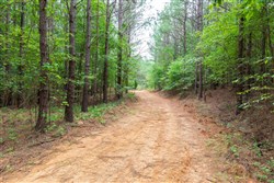 Whiskey Ridge Tract 18