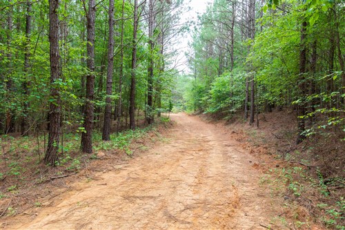 Whiskey Ridge Tract 18