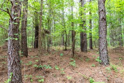 Whiskey Ridge Tract 18