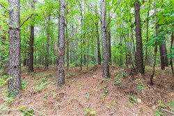 Whiskey Ridge Tract 18