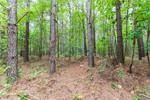 Whiskey Ridge Tract 18