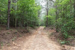 Whiskey Ridge Tract 18