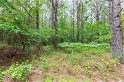 Whiskey Ridge Tract 18