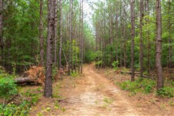 property photo for Whiskey Ridge Tract 19, 6.06 acres for sale in Henderson County, Tennessee