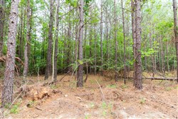 property photo for Whiskey Ridge Tract 19, 6.06 acres for sale in Henderson County, Tennessee