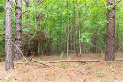 property photo for Whiskey Ridge Tract 19, 6.06 acres for sale in Henderson County, Tennessee