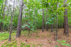 property photo for Whiskey Ridge Tract 19, 6.06 acres for sale in Henderson County, Tennessee