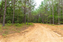 property photo for Whiskey Ridge Tract 19, 6.06 acres for sale in Henderson County, Tennessee