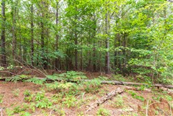 property photo for Whiskey Ridge Tract 19, 6.06 acres for sale in Henderson County, Tennessee