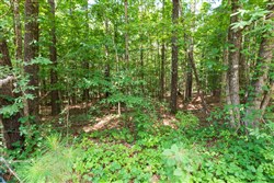 property photo for Whiskey Ridge Tract 2, 6.25 acres for sale in Henderson County, Tennessee