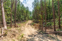 property photo for Whiskey Ridge Tract 2, 6.25 acres for sale in Henderson County, Tennessee