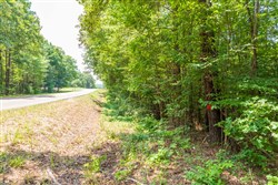 property photo for Whiskey Ridge Tract 2, 6.25 acres for sale in Henderson County, Tennessee