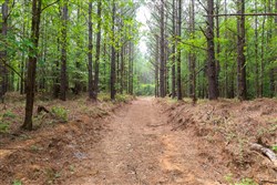 property photo for Whiskey Ridge Tract 20, 6.12 acres for sale in Henderson County, Tennessee