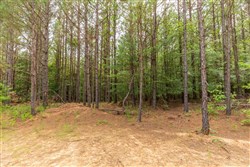 property photo for Whiskey Ridge Tract 20, 6.12 acres for sale in Henderson County, Tennessee