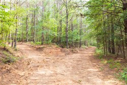 property photo for Whiskey Ridge Tract 20, 6.12 acres for sale in Henderson County, Tennessee