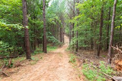 property photo for Whiskey Ridge Tract 21, 7.67 acres for sale in Henderson County, Tennessee