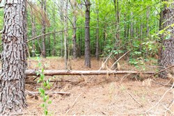 property photo for Whiskey Ridge Tract 21, 7.67 acres for sale in Henderson County, Tennessee