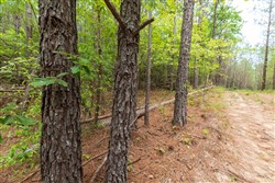 property photo for Whiskey Ridge Tract 21, 7.67 acres for sale in Henderson County, Tennessee