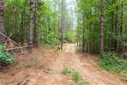 property photo for Whiskey Ridge Tract 21, 7.67 acres for sale in Henderson County, Tennessee