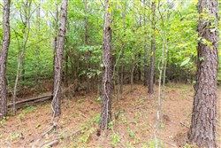 property photo for Whiskey Ridge Tract 21, 7.67 acres for sale in Henderson County, Tennessee