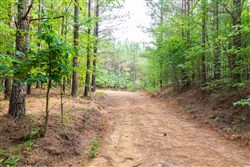 Whiskey Ridge Tract 22