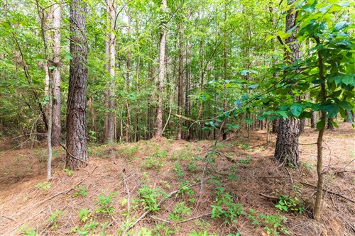 Whiskey Ridge Tract 22