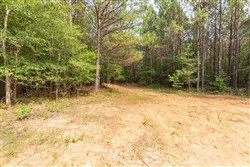 Whiskey Ridge Tract 22