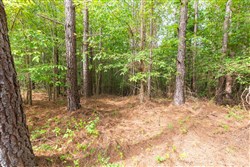 Whiskey Ridge Tract 22