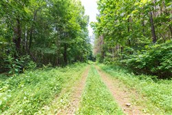 property photo for Whiskey Ridge Tract 23, 12.3 acres for sale in Henderson County, Tennessee