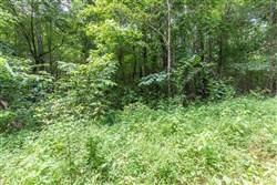 property photo for Whiskey Ridge Tract 23, 12.3 acres for sale in Henderson County, Tennessee