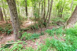 property photo for Whiskey Ridge Tract 23, 12.3 acres for sale in Henderson County, Tennessee