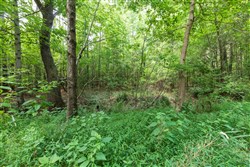 property photo for Whiskey Ridge Tract 23, 12.3 acres for sale in Henderson County, Tennessee