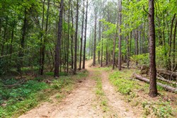 property photo for Whiskey Ridge Tract 23, 12.3 acres for sale in Henderson County, Tennessee