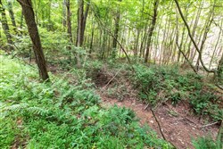property photo for Whiskey Ridge Tract 23, 12.3 acres for sale in Henderson County, Tennessee