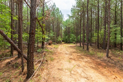 Whiskey Ridge Tract 24