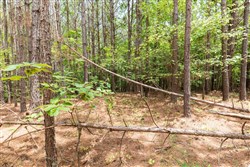 Whiskey Ridge Tract 24
