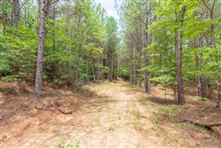 Whiskey Ridge Tract 24