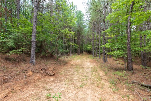 Whiskey Ridge Tract 25