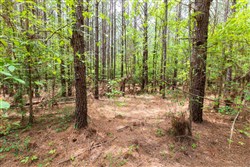 Whiskey Ridge Tract 25