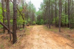 Whiskey Ridge Tract 25