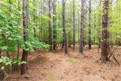 Whiskey Ridge Tract 25