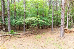 property photo for Whiskey Ridge Tract 26, 9.05 acres for sale in Henderson County, Tennessee