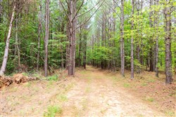 property photo for Whiskey Ridge Tract 26, 9.05 acres for sale in Henderson County, Tennessee