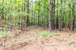 property photo for Whiskey Ridge Tract 26, 9.05 acres for sale in Henderson County, Tennessee
