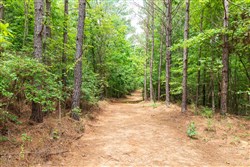 property photo for Whiskey Ridge Tract 27, 6.54 acres for sale in Henderson County, Tennessee